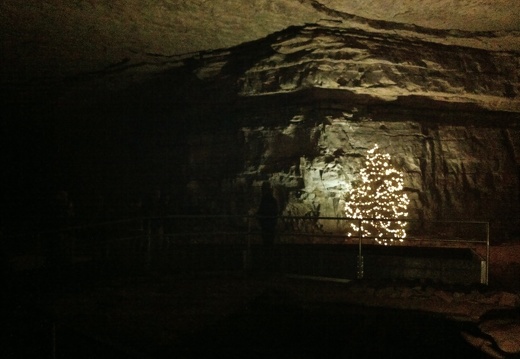 Mammoth Cave - Xmas Tree